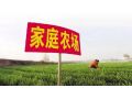 家庭農(nóng)場(chǎng)多大規(guī)模才合適？